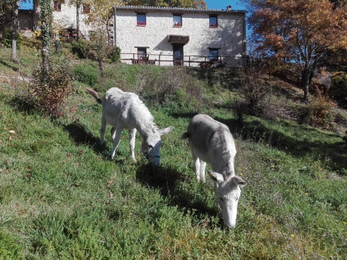 I Casali Del Buontempo Villa Buggiano Eksteriør billede